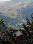 SX21043 Tintern Abbey from Devil's Pulpit.jpg